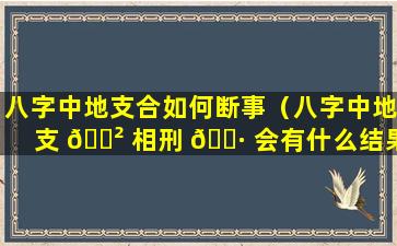 八字中地支合如何断事（八字中地支 🌲 相刑 🌷 会有什么结果）